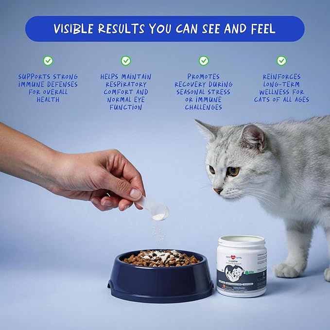 L-Lysine Supplement for Cats 900mg/scoop - Cat Supplement for Sneezing and Runny Nose Cold Immune Support Eye Function and Respiratory Health – Lysine Powder