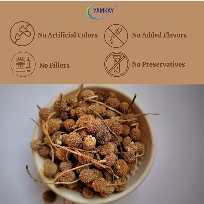 Yamkay Kotta Karanthai Powder 1500 Gm (3 Pounds) | Sphaeranthus Indicus | Gorakhmundi Mundi | Pure Natural Plant Powder | No Additives or Preservatives