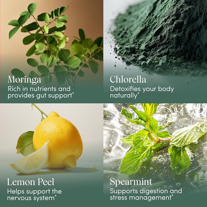 Apothékary Your Wildest Greens Herbal Liquid Drops All-in-One Daily Superfood Supplement Vitamin &amp Mineral Support 5X Potency of Greens Powders Sugar Free Calorie Free (15 Servings) 1.22oz