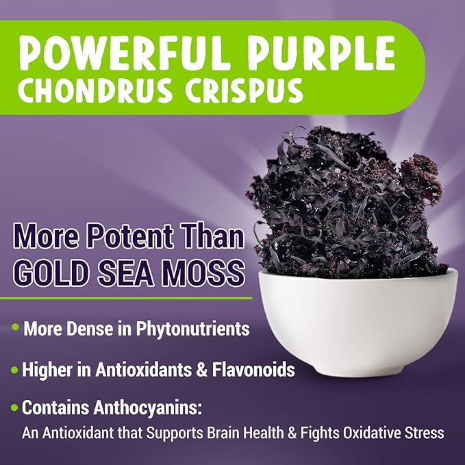 Maju Superfoods Black Seed Oil Gummies and Sea Moss Capsules Bundle