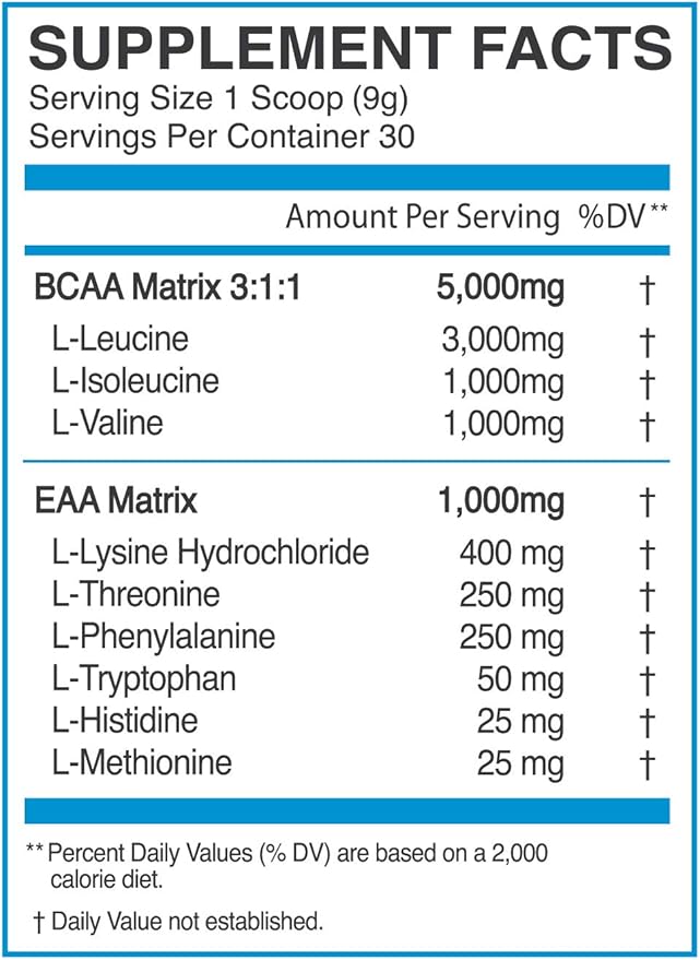 eFlow Nutrition Endure BCAA Plus EAA - Essential Amino Acids Electrolyte Powder Intra Workout - Improve Energy Recovery and Performance - Warrior Gummy Bear(30 Servings)