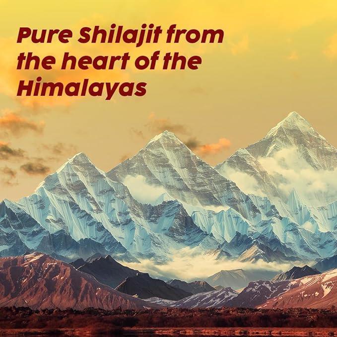Plix Pure Himalayan Shilajit Effervescent Tablets - 250mg with Safed Musli &amp Saffron | Natural Energy &amp Strength Support | Orange Flavor 120 Tablets