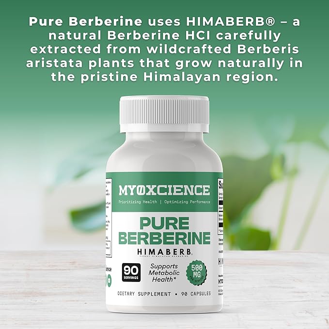 MYOXCIENCE Pure Berberine Himaberb | 500 mg of Berberine HCl per Serving | 90 Servings