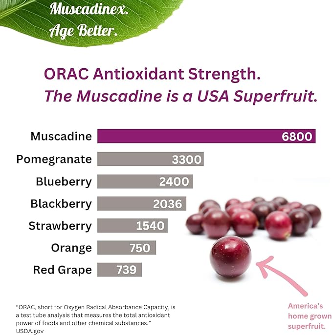 Muscadine Grapeseed Supplement - Superfood Supplement - High ORAC Antioxidant &amp Polyphenols with Resveratrol Quercetin &amp Ellagic Acid - Grape Skin &amp Seed for Health &amp Longevity - 60 S