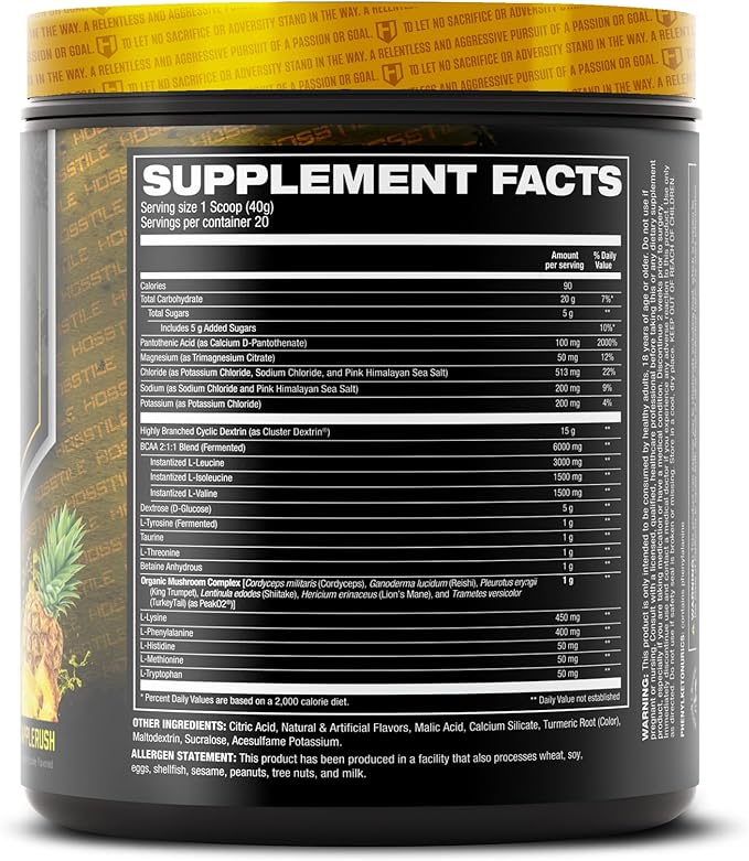 HOSSTILE Intra[R3] Intra Workout Powder EAA &amp BCAA Drink with Carbs Enhance Energy &amp Endurance Build Lean Muscle &amp Improve Recovery Pineapple Rush 20 Servings