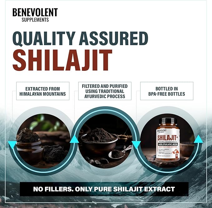 6500mg Shilajit for Men with 40% Fulvic Acid (High Absorption) | Shilajit Mineral Supplement with 85+ Trace Minerals for Energy Performance &amp Immune Health - 120 Capsules