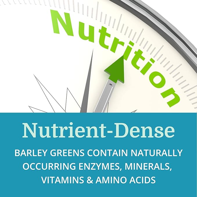 Alka•Green Tablets (6 Pack) Best Process Alkaline — Nutrient Dense Organic Barley Grass Supplement — Natural Source of Enzymes &amp Amino Acids