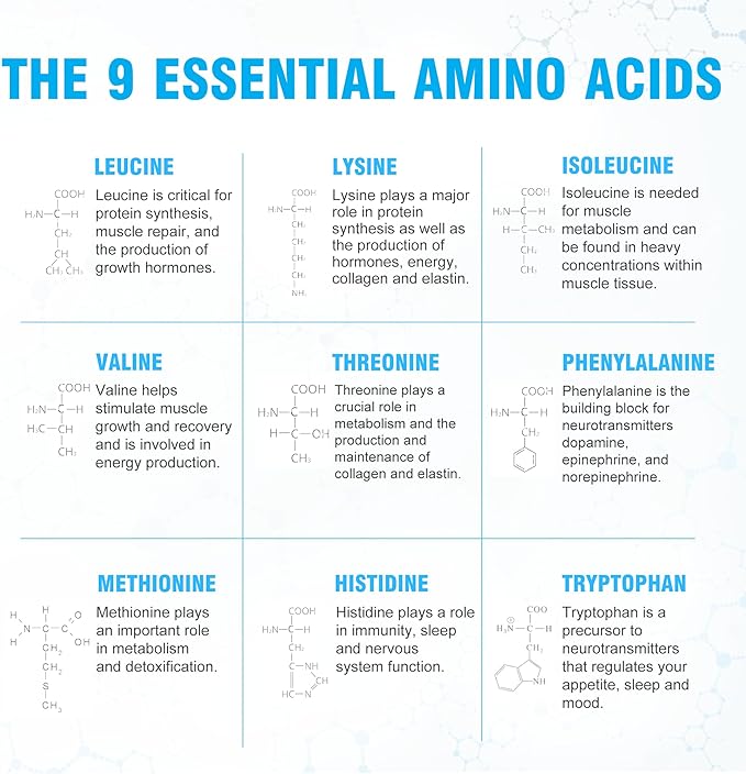 Ultimate 100% Essential Amino Acids Powder [Berry Flavor 60 (5g) servings] All 9 EAAs &amp BCAAs (L-Leucine L-Isoleucine &amp L-Valine) Amino Acids Supplement for Women &amp Men for Energy Muscl
