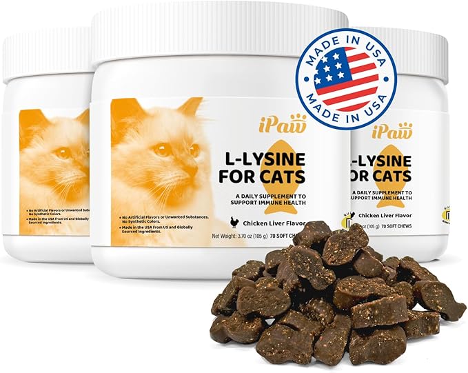 iPaw L-Lysine Chews for Cats Daily Immune and Respiratory Support for Cats Lysine Treats Supplement Made in USA Chicken Liver Flavor (70 Chews/Pack) 3 Packs