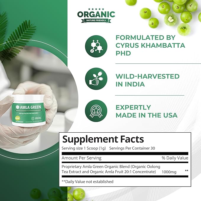Amla Powder &amp Decaf Green Tea Superfood Supplement 20x Ultra Concentrated Amla Oolong Tea and Indian Gooseberries Organic Vegan 90 Servings