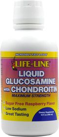 Nature's Blend Glucosamine w/Chondroitin Max Strength Raspberry 16 oz.