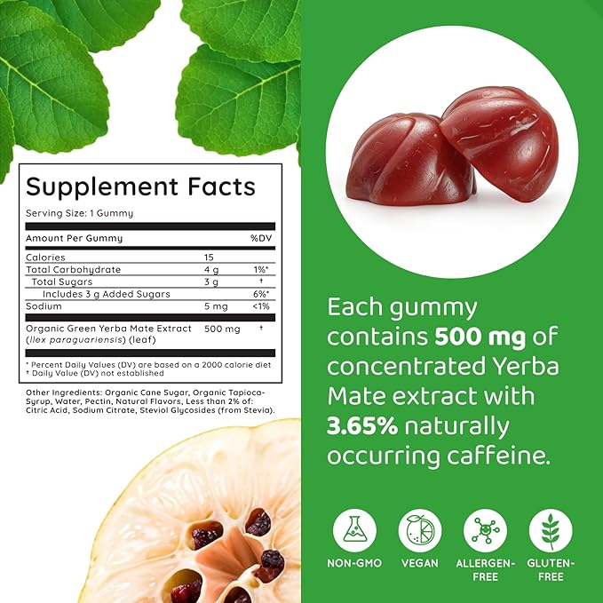 HOLYMARY Yerba Mate Gummies Quince - Made with Organic Unroasted Yerba Mate. Free from Added Caffeine. Vegan Non-GMO Gluten-Free Kosher. 50 Delicious Supplement Gummies