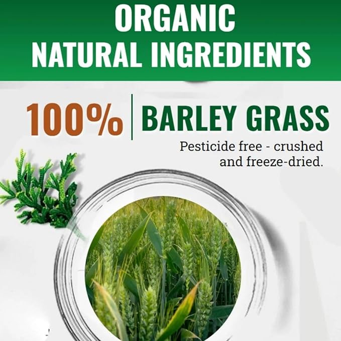 Naveta Barley Grass Powder 100% Pure &amp Organic Naveta Pure Organic Barley Grass Juice Powder Japan 20 Packs/Box (60 Packs)