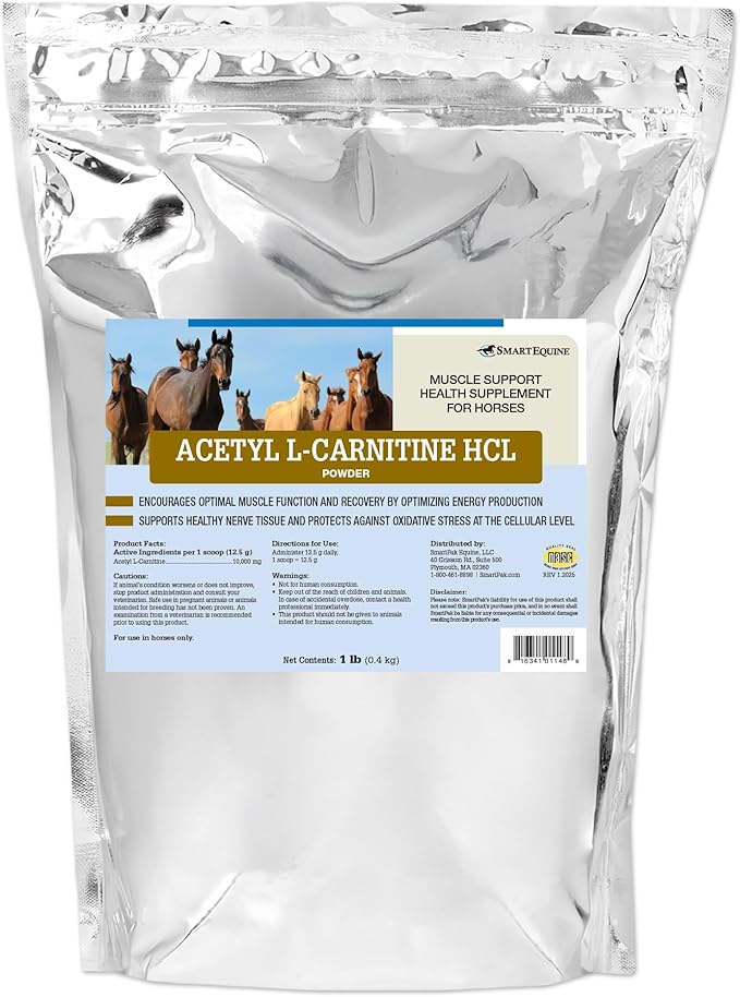 Acetyl L-Carnitine HCL Powder | Horse Energy Supplement &amp Muscle Supplement for Horses Supporting Muscle Function &amp More | Antioxidant-Rich Pure Formula | 1 lb Bag