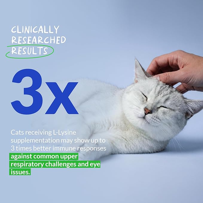 L-Lysine Supplement for Cats 900mg/scoop - Cat Supplement for Sneezing and Runny Nose Cold Immune Support Eye Function and Respiratory Health – Lysine Powder