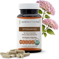 Secrets of the Tribe Hydrangea USDA Organic Capsules | Certified Organic Vegetarian Capsules Herbal Dietary Supplement | Hydrangea arborescens Dried Root (60 Count)