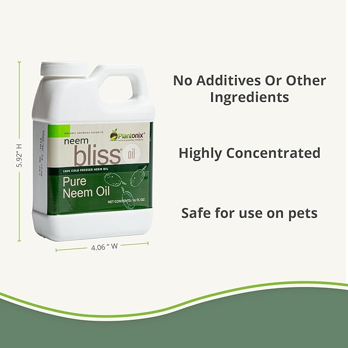Neem Bliss (1 Gallon) - Pure Neem Oil Concentrate - 100% Cold Pressed Neem Oil - All-Natural Neem Oil Concentrate - Pure Neem Oil Extract - Unrefined Neem Oil for Hair - Neem Seed Oil Concentrate