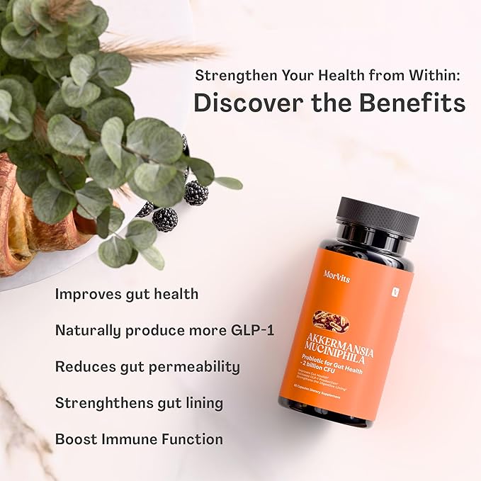 Akkermansia Probiotic for Cravings &amp Gut Health | GLP-1 Support Supplement with Akkermansia Muciniphila – 2 Billion CFU Inulin Prebiotic Fiber – 60 Capsules 1 Pack