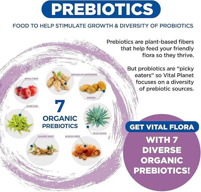 Vital Planet - Vital Flora Probiotics for Women 60 Billion CFU Diverse Strains Daily Shelf Stable Probiotic with Organic Prebiotics for Vaginal Support Immune and Digestive Health 60 Capsules