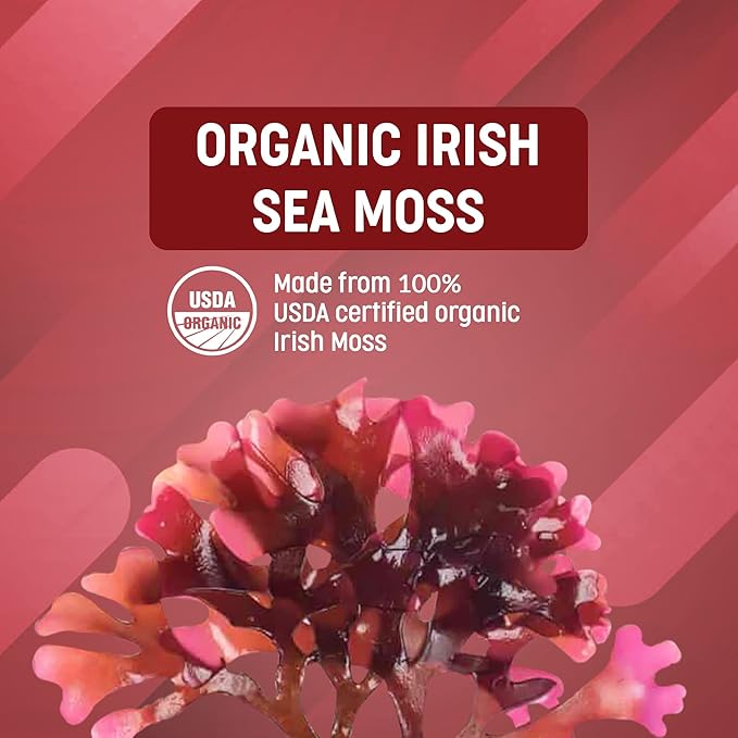 Ocean Optima Organic Sea Moss Capsules (Chondrus crispus) for Skin Nail Hair and Gut Naturally Occurring Kosher Iodine for Thyroid Support Single-Ingredient Wild Irish Seamoss Vegan 90 Servings