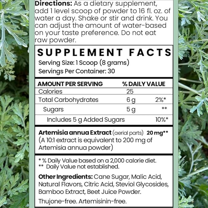 Artemisia Annua Sweet Wormwood Herbal Powder | Leaf Extract Brain Support | Artemisia Supplement | Sweet Wormwood Organic Extract | Non-GMO Vegan Gluten-Free | 30 Servings/8.5 Oz (240g)