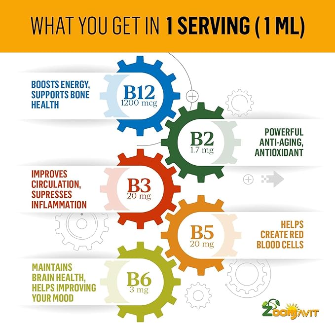 Vitamin B Complex Liquid Drops with Fast Absorption - Super B Liquid Complex Vitamins B2 B3 B5 B6 &amp B12 - Natural Energy Boost Mental Focus &amp Healthy Immune System