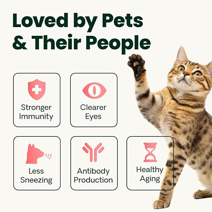 VetriScience Ultimate Strength Lysine Immunity Health Powder for Cats &amp Kittens Supplement for Allergy &amp Nasal Support Sneezing Runny Nose &amp Watery Eyes Chicken &amp Cheese Flavor 60