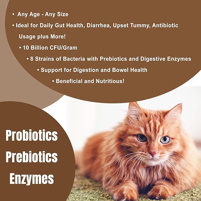 Probiotic Max - 10 Billion CFU per Gram - Prebiotics - 8 Live Beneficial Microorganisms Probiotics and 12 Digestive Enzymes in an Organic Whey Base 8oz