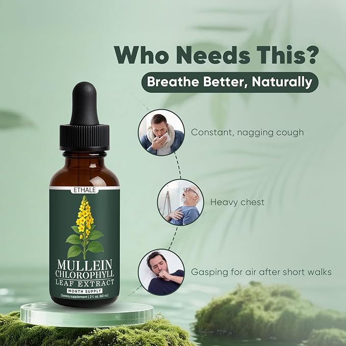 ETHALE Mullein Drops for Lungs - Mullein + Chlorophyll Lung Drops Respiratory Support &amp Lung Detox Formula with Chlorophyll Mullein Leaf Extract 1 Month Supply