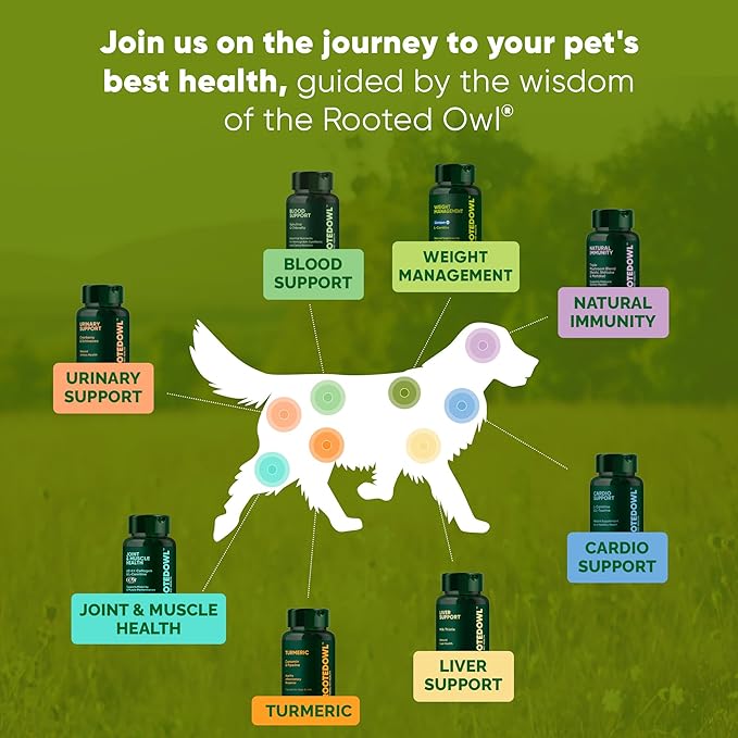 Rooted Owl Joint and Muscle Support for Cats and Small Dogs (Under 30 Lbs) - Supplement with UC-II Type II Collagen and L-Carnitine - 30 Count