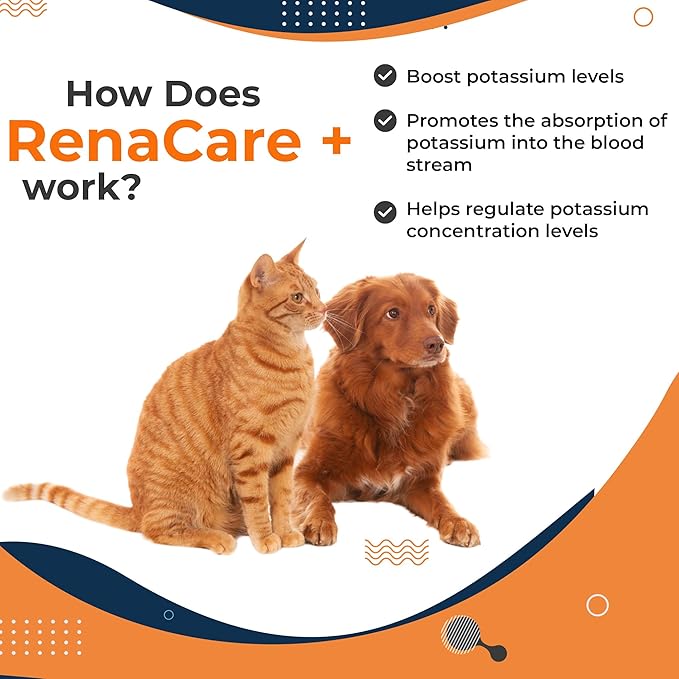 RenaCare K is for Renal K (Potassium Gluconate) Potassium Supplement Gel for Dogs and Cats (15 oz) with Maple Flavor (Made in U.S.A)