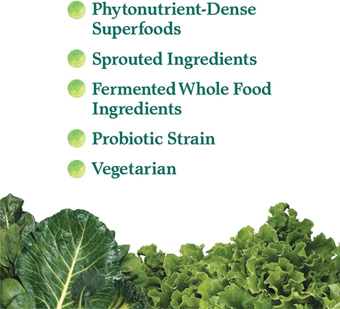 Garden of Life Perfect Food Super Green Formula - 60 Servings 45 Superfoods Greens Fruit &amp Veggie Juice Superfood Powder Supplement Probiotics &amp Organic Spirulina for Digestion &amp Immun