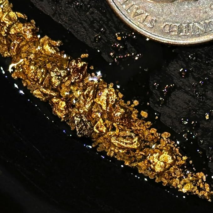 Gold Paydirt | Gold Rush Panning Concentrates unsearched &amp Added | Gold Prospecting Pay Dirt + Guaranteed Lucky’s Bonus Bag | 1 Gram of Gold
