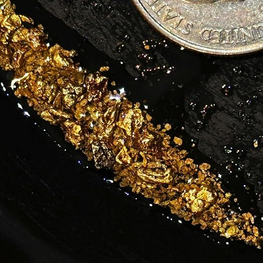 Gold Paydirt Prospecting Bag | Guaranteed Gold | Gold Rush Panning Concentrates + Lucky’s Bonus Bag | 1/4 Gram of Gold