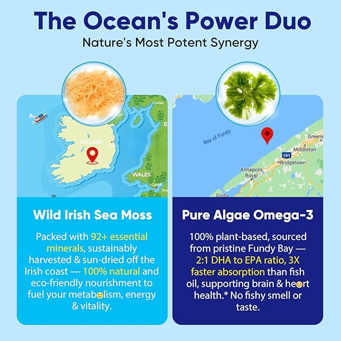 2 Pack Sea Moss Gummies for Men Women Vegan 15-IN-1 Irish Seamoss Superfood with/Bladderwrack &amp Burdock Root Turmeric Elderberry Vitamins B12 D3 EPA DHA Sugar-Free Support Energy Brain Im