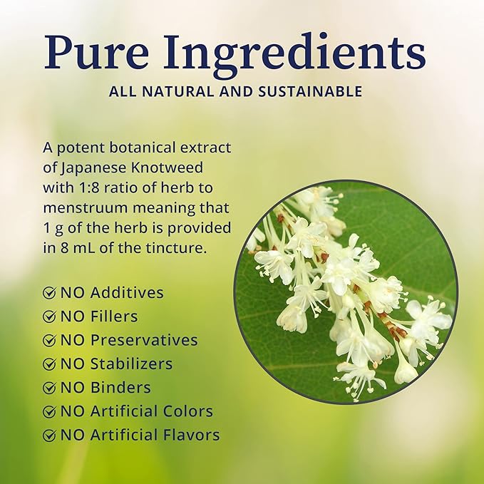 BioPure Japanese Knotweed Herbal Tincture – Potent Botanical Extract Rich in Polyphenols Including Resveratrol to Support Liver &amp Immune Function Cellular Health and Microbiome Balance – 2 fl oz