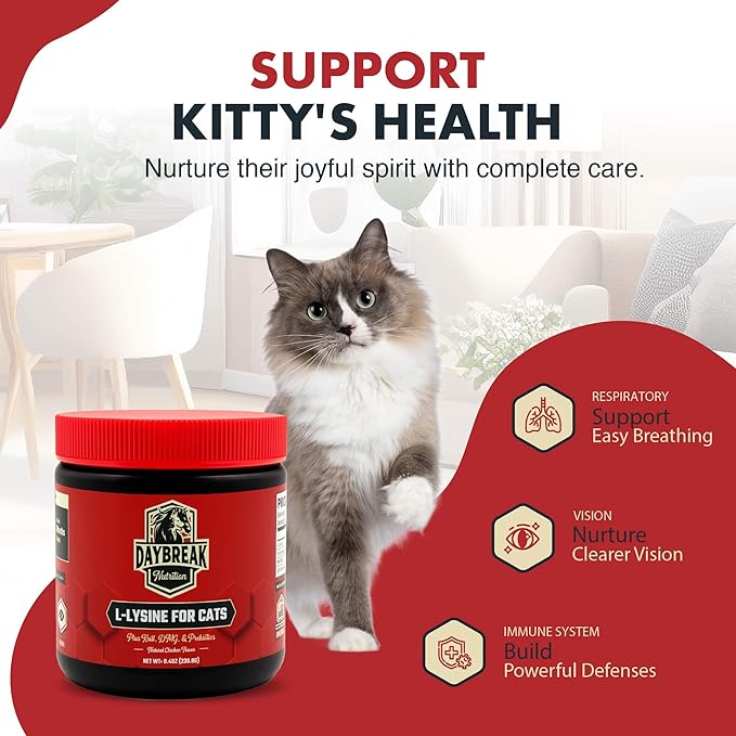 L-Lysine for Cats and Kittens - 900 mg L Lysine Powder for Cats for Immunity &amp Respiratory Support - Cat Supplement with L-Lysine Prebiotics Krill &amp DMG for Immune System (120 Servings)