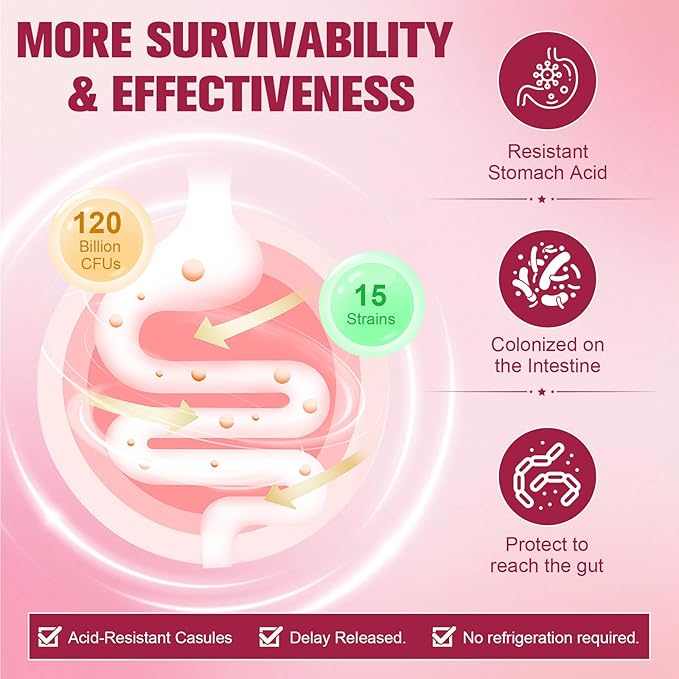 Totaria (2 Packs) Probiotics for Women 120 Billion Women Probiotic Digestive Enzymes &amp Prebiotics with Akkermansia Cranberry D-Mannose for Gut Urinary Immune PH Balance 240 Vegan Capules