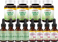 LOVITA 12-Piece Bulk Bundle - 4 Propolis 4 Odorless Garlic &amp 4 Echinacea Extracts Total Body Defense Value Pack (12 Pc)