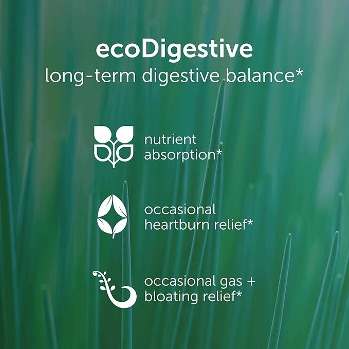 EcoNugenics EcoDigest Digestive Health Supplement - 60 Capsules- Digestive Support - Herbs Medicinal Mushrooms &amp Enzymes