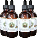 Hawaii Pharm Boldo Alcohol-Free Liquid Extract Boldo (Peumus boldus) Dried Leaf Glycerite Natural Herbal Supplement 4x4 oz