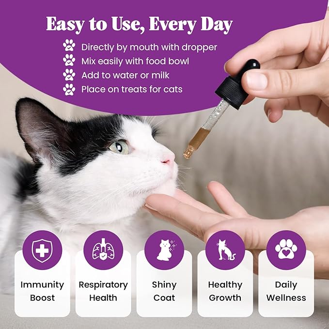 L-Lysine Supplement for Cats &amp Kittens – Immune Support Liquid for Feline Respiratory Health Sneezing Runny Nose &amp Watery Eyes – 250mg Lysine Cat Drops with Vitamins Complex – Chicken Flavor