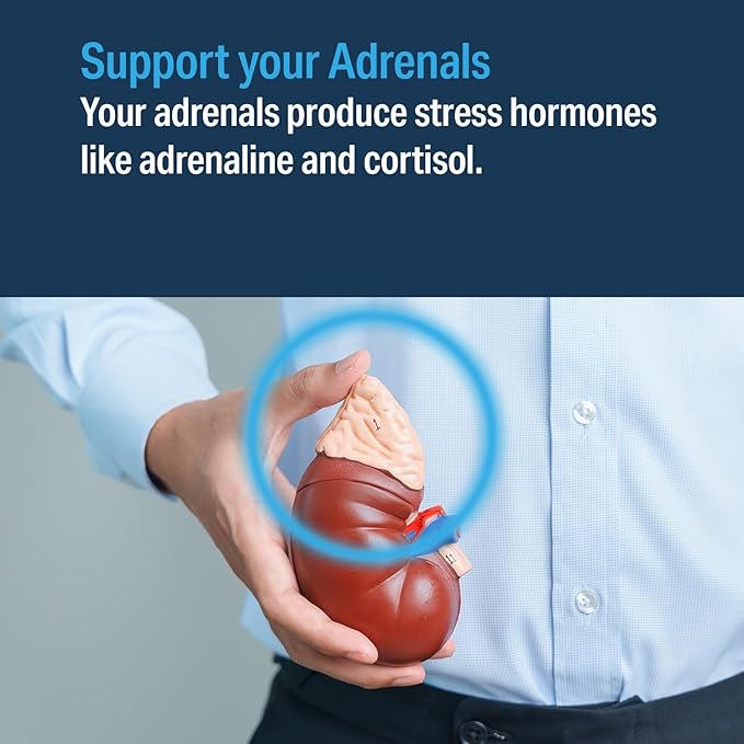 Advanced Bionutritionals Advanced Adrenal Factor – Adrenal Support Supplement – Non-GMO Gluten-Free Vegan – 120 Tablets