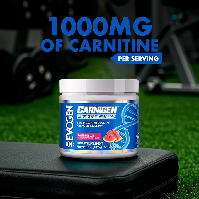 Evogen Carnigen - Premium Carnitine Powder | Supports Fat Metabolism &amp Promotes Recovery | Stimulant-Free L Carnitine Supplement Matrix with Acetyl L-Carnitine | Watermelon | 50 Servings
