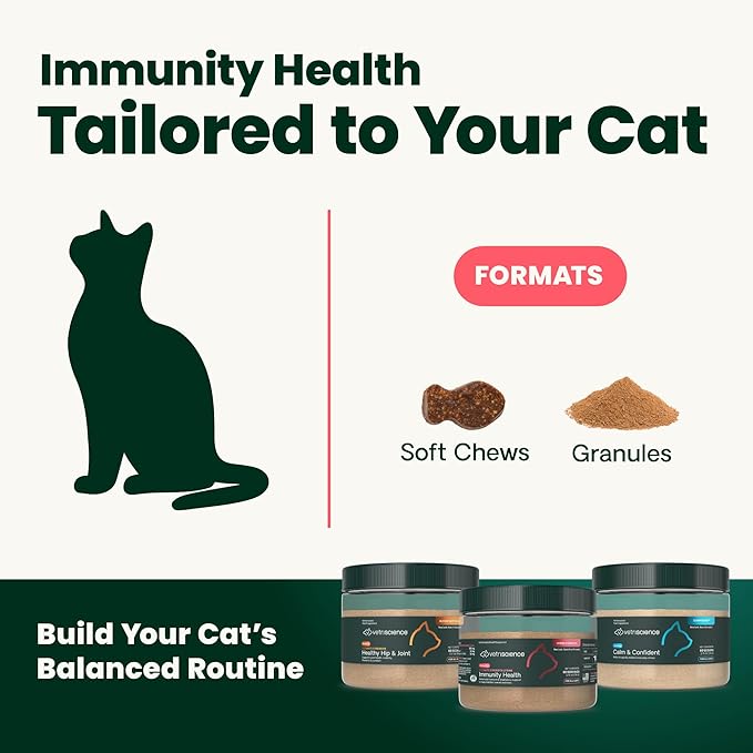 VetriScience Ultimate Strength Lysine Immunity Health Powder for Cats &amp Kittens Supplement for Allergy &amp Nasal Support Sneezing Runny Nose &amp Watery Eyes Chicken &amp Cheese Flavor 60