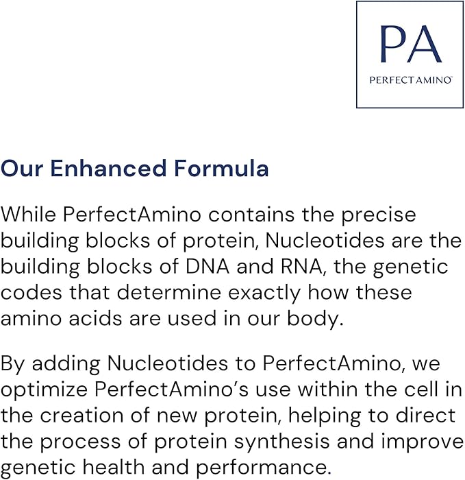BodyHealth Probiotic Enhanced with PerfectAmino for Women and Men Spore Based with Bifidobacterium Lactobacillus Salivarius Lactobacillus Acidophilus - 60 Capsules