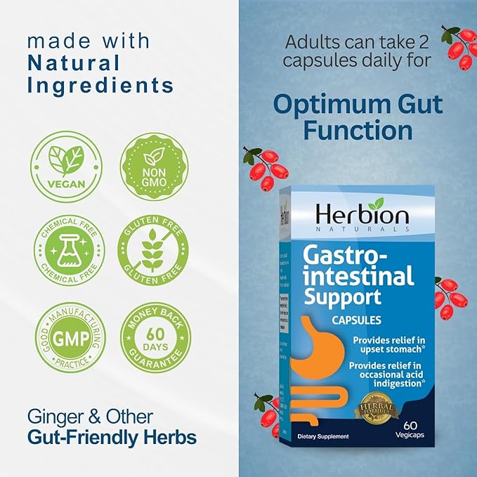 HERBION Naturals Gastro-intestinal Support Herbal Blend for Upset Stomach Relief Gastrointestinal Health and Function Occasional Acid Indigestion Healthy Intestinal Flora 60 Vegicaps - Pack of 4