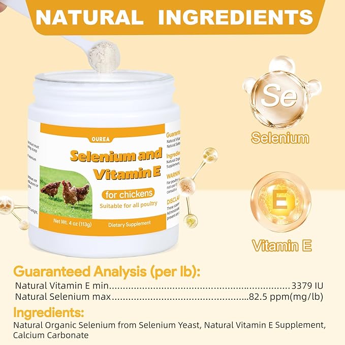 Selenium and Vitamin E Powder for Chickens Selenium for Chickens Immune System Muscle Support &amp Prevents Improve Wry Neck Selenium Vitamin E Supplements Suitable for All Poultry Chicken &a