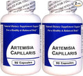 Artemisia Capillaris (90 Capsules)-Concentrated Herbal Extract - Dietary Supplement - 2 Pack