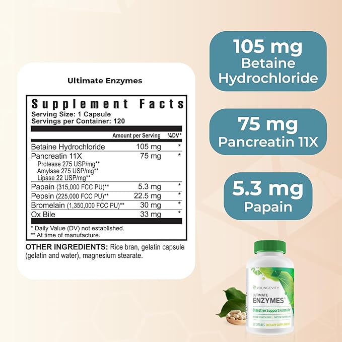 Youngevity Ultimate Enzymes® - Multi Enzymes for Digestion Gas &amp Bloating Relief - Betaine HCl Ox Bile Pancreatine 10X Papain 6M Pepsin 1:3000 (120 Capsules)